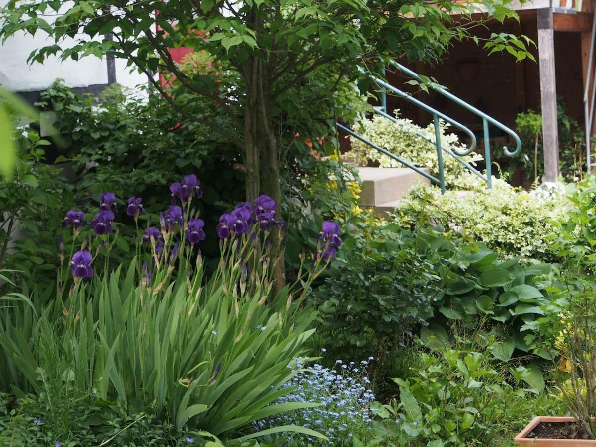 Ferienhaus im Fachwerkhof 'Haus in Bewegung' Seelscheid Exterior foto